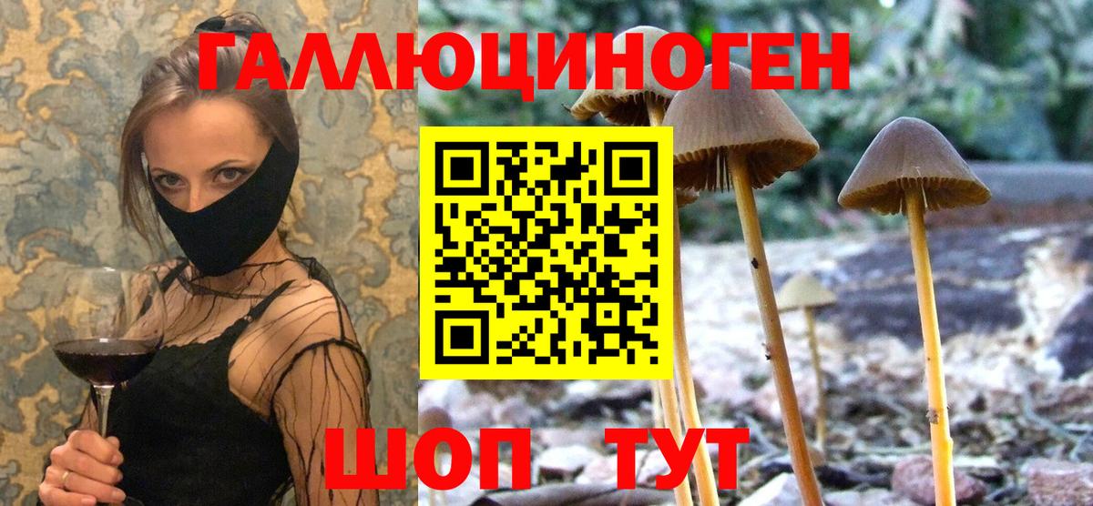 где найти   Вход с VPN  Мариинск  Галлюциногенные грибы GOLDEN TEACHER 
