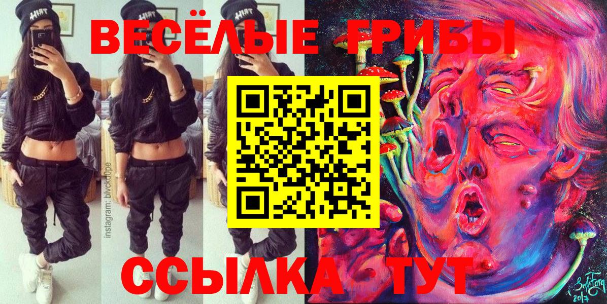 Галлюциногенные грибы Cubensis Мариинск